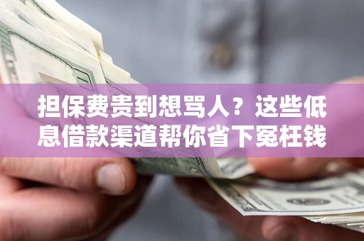 济南担保费贵到想骂人？这些低息借款渠道帮你省下冤枉钱