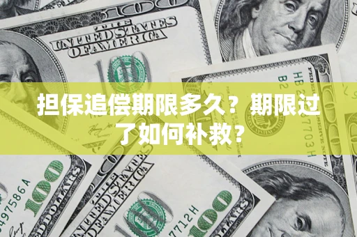 济南担保追偿期限多久？期限过了如何补救？