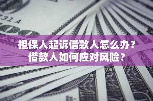 济南担保人起诉借款人怎么办？借款人如何应对风险？